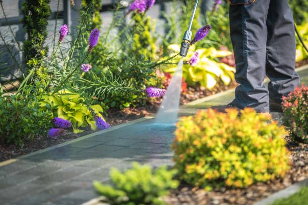 Reliable Dilley, TX Pressure Washing Services Solutions